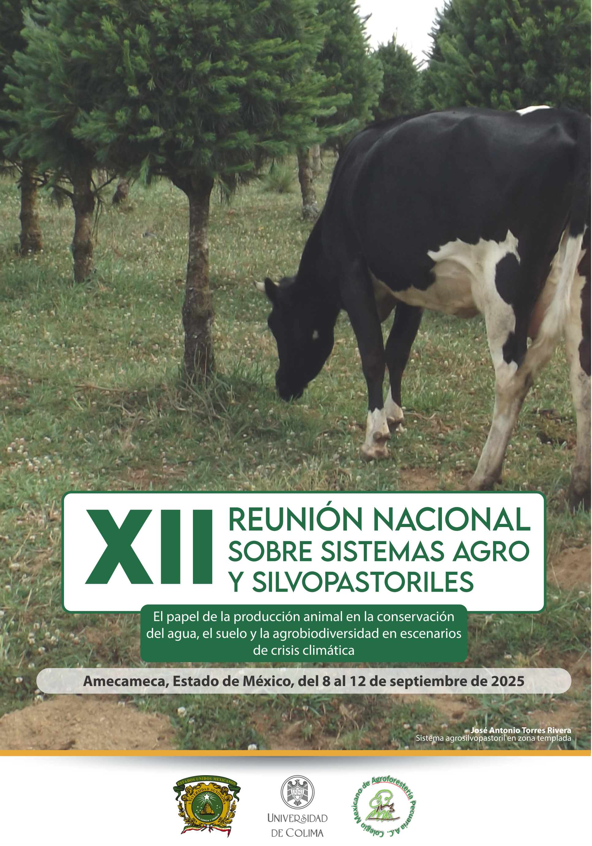 					Ver Vol. 29 Núm. Suplemento II (2025): XII Reunión Nacional sobre Sistemas Agro y Silvopastoriles
				
